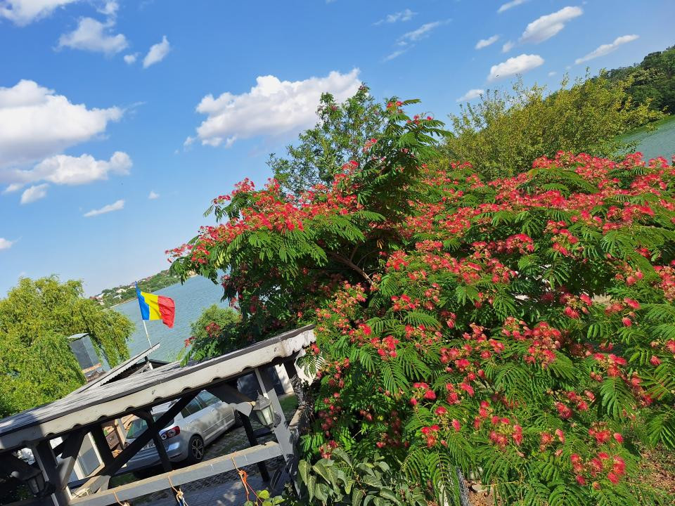 Vila cu deschidere la lac - Branesti - constructie 2016 - mobilata si utilata