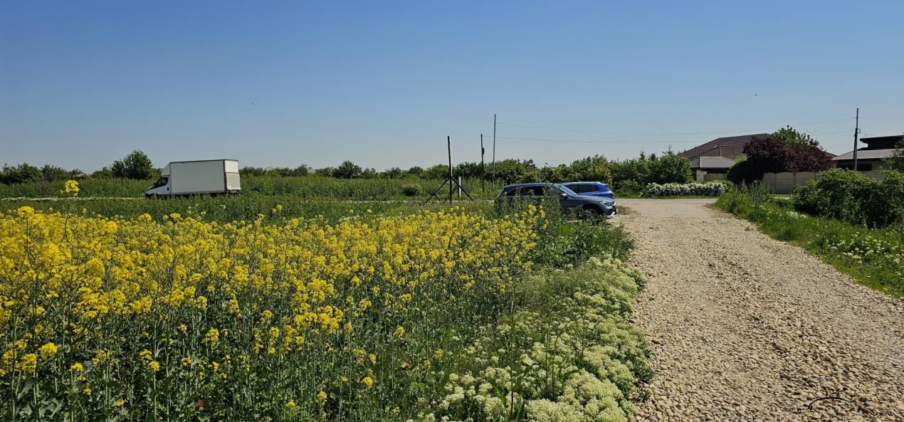 Sabareni - langa padure - ideal dezvoltare imobiliara